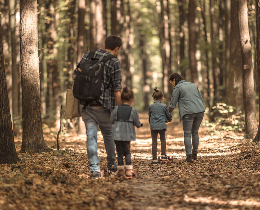 familieweekend bij de meerenhoeve