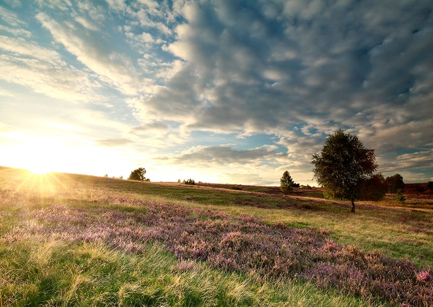 wandelen natuur omgeving de meerenhoeve